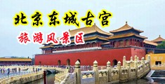 操逼插的小穴视频网站中国北京-东城古宫旅游风景区